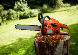 Saws safe on a tree trunk